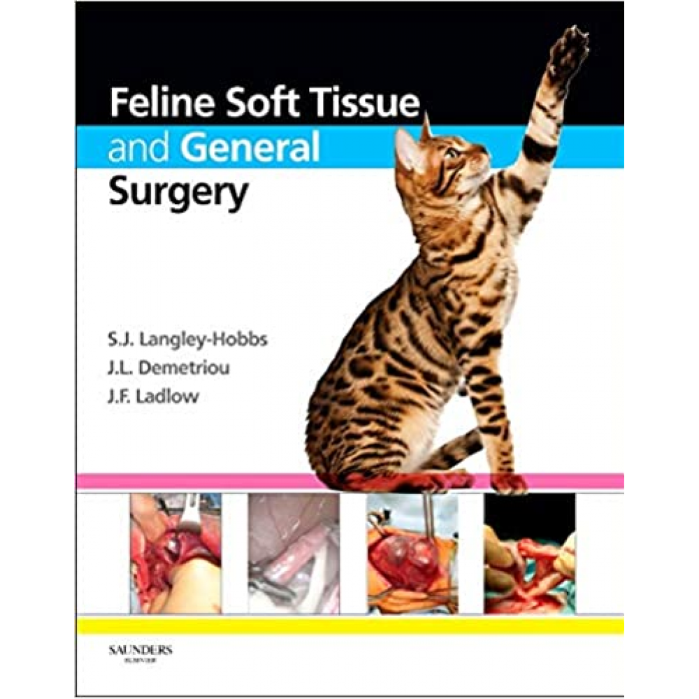 Feline Soft Tissue and General Surgery, 1st Edition