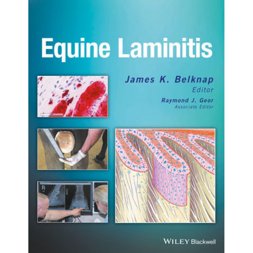 Equine Laminitis - Belknap
