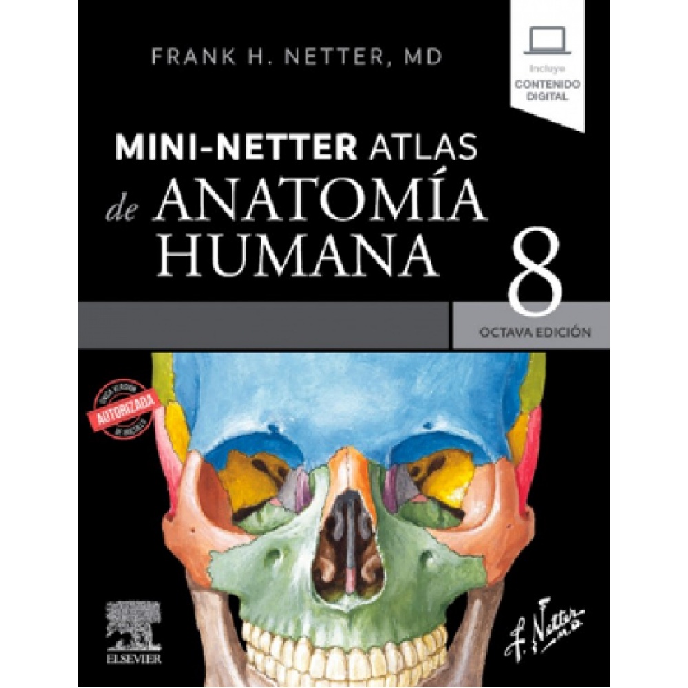 Mini Netter. Atlas de anatomia humana 8 ed