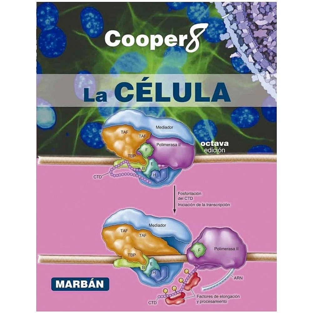 La Celula 8° ed. Cooper, G Tapa Blanda