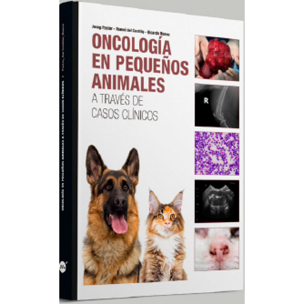 Oncologia en pequeños animales a traves de casos clínicos Ruano, Castillo, Pastor