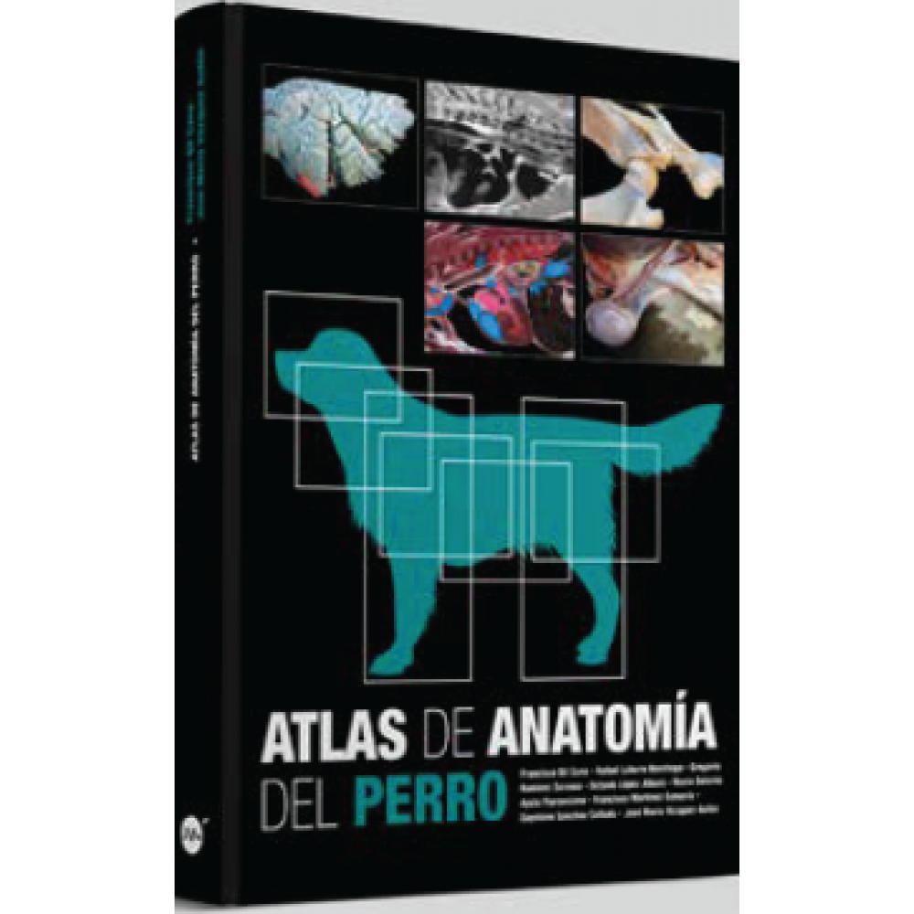 Atlas de Anatomía del Perro Gil Cano