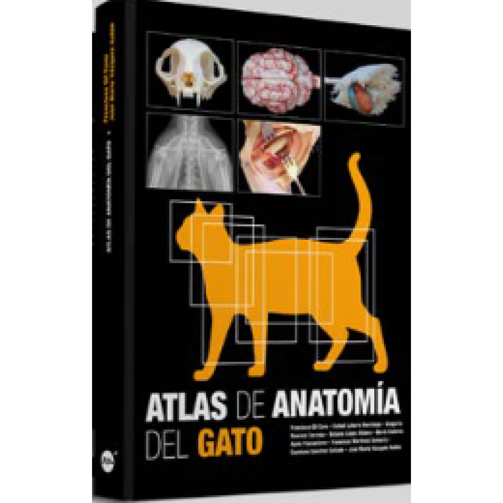 Atlas de Anatomía del gato - Gil