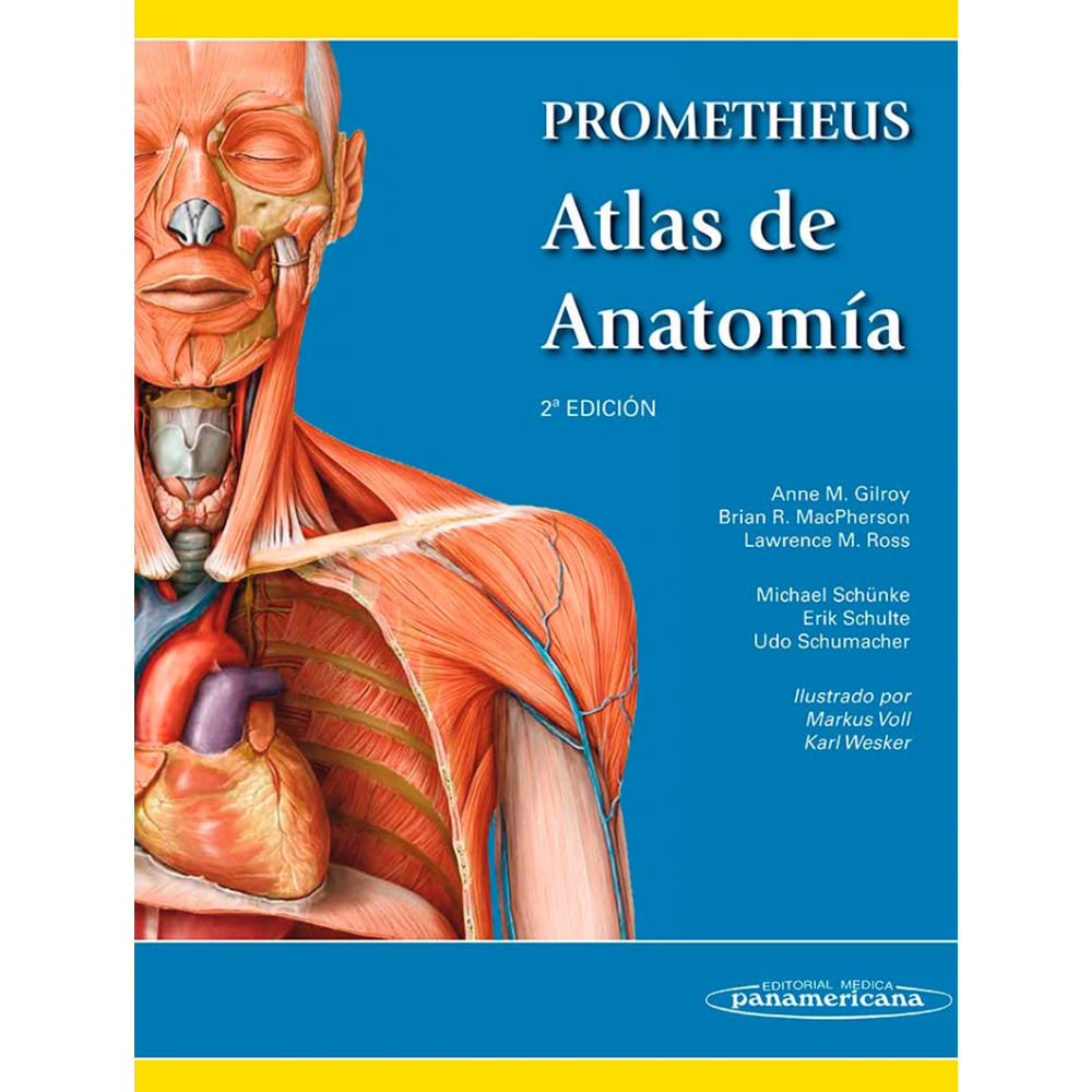 Gilroy,Prometheus Atlas de anatomia 2ª edicion