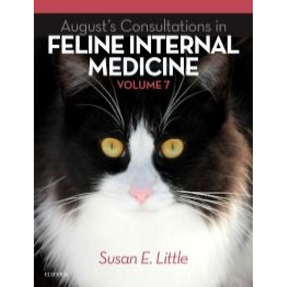 August's Consultations in Feline Internal Medicine  Volume 7, 1st Edition
