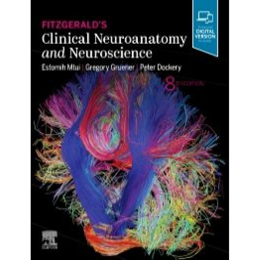 Fitzgerald's Clinical Neuroanatomy and Neuroscience, 8th Edition