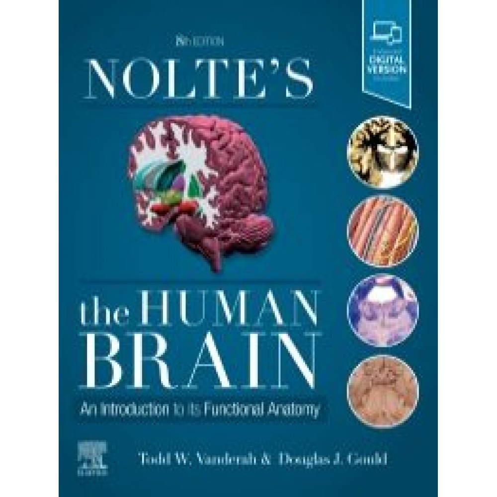 Nolte's The Human Brain, 8th Edition