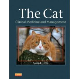 The Cat - Little, Susan