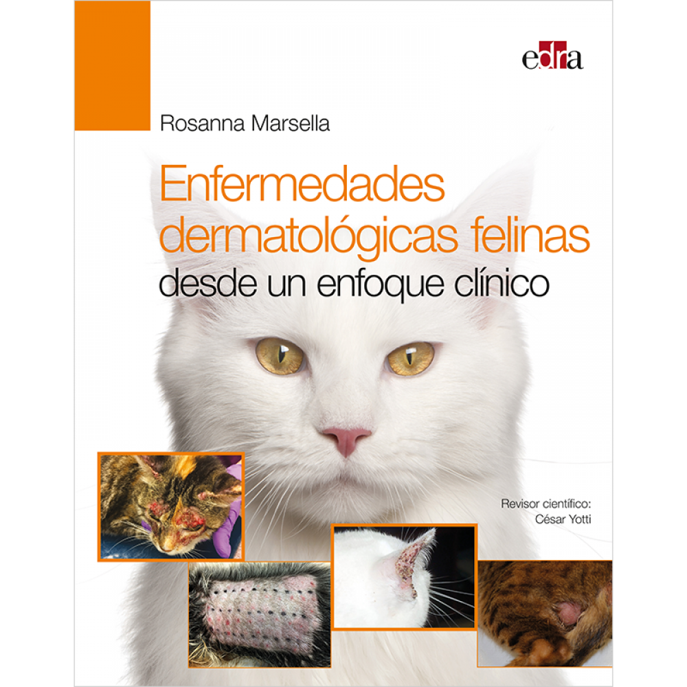 Enfermedades dermatologicas felinas desde un enfoque clinico Marsella