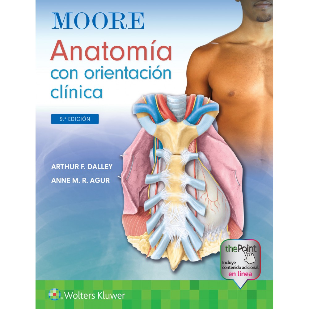 Moore. Anatomia con orientacion clinica 9a ed.