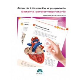 Grupo Asis , Atlas de informacion al propietario. Sistema cardiorrespiratorio