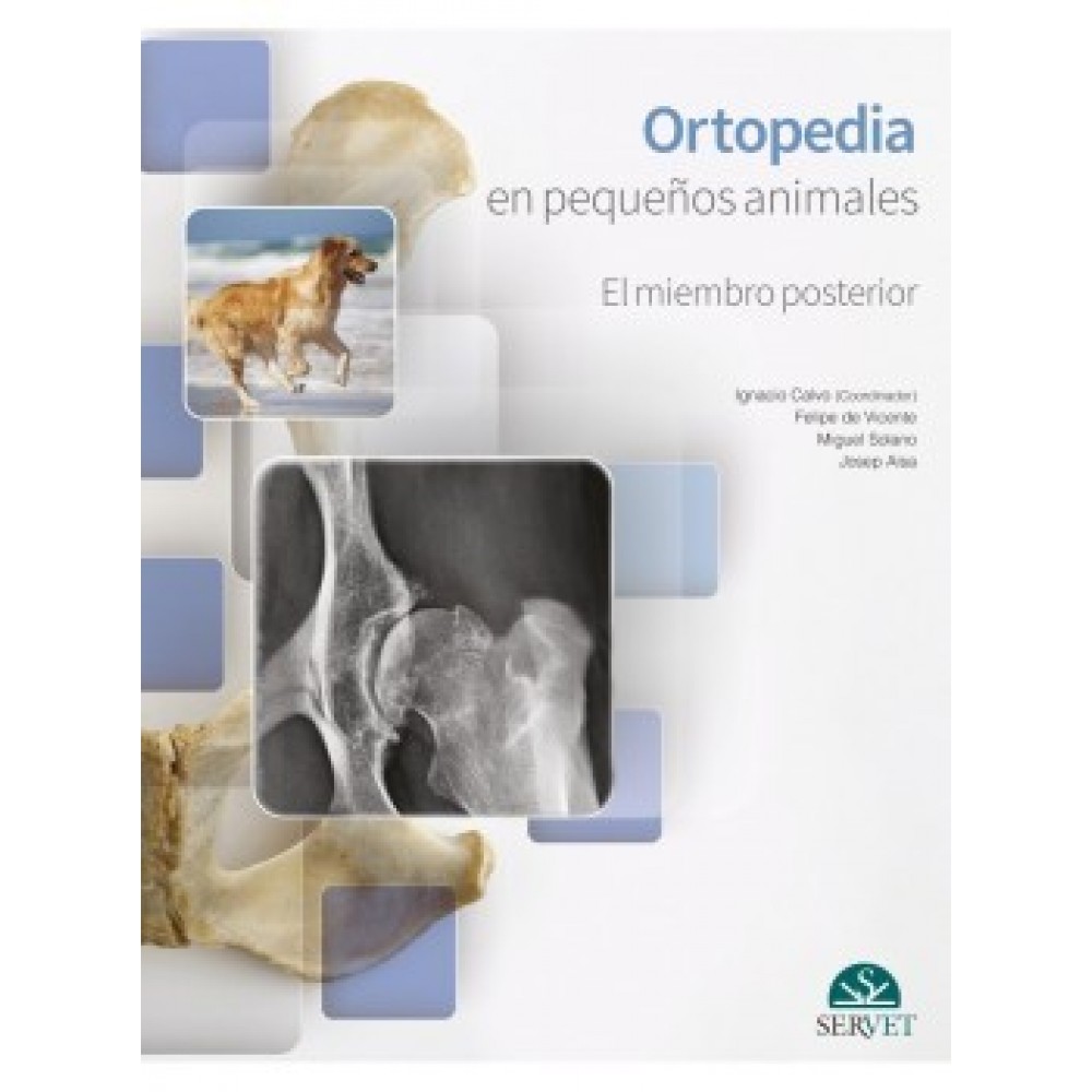 Bermejo Ortopedia en pequeños animales. El miembro posterior