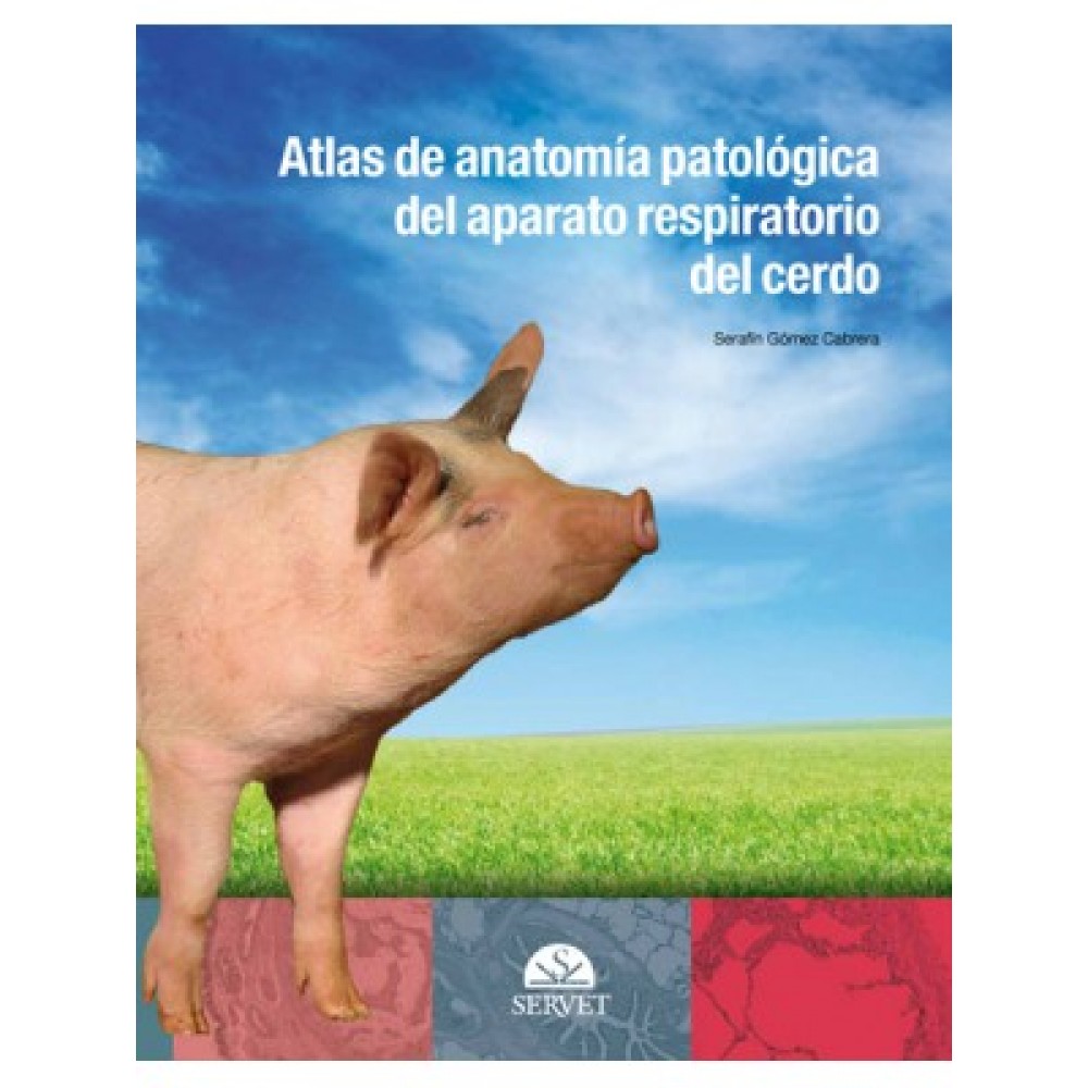Gomez , Atlas de anatomia patologica del aparato respiratorio del cerdo