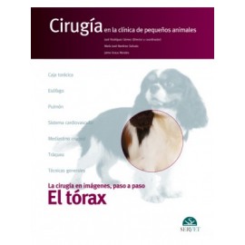 Rodriguez , El torax. Cirugia en la clinica de pequeños animales