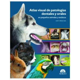 Collados , Atlas visual de patologias dentales y orales en pequeños animales y exoticos