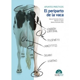 Fernandez , El periparto de la vaca