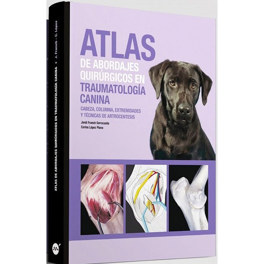 FRANCH Atlas de abordajes quirurgicos en traumatologia de pequeños animales…