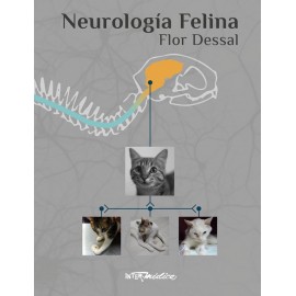 Flor Dessal Neurologia Felina